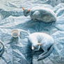 i11406004c.gif