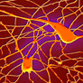 i145438c.png