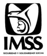 imss.jpg