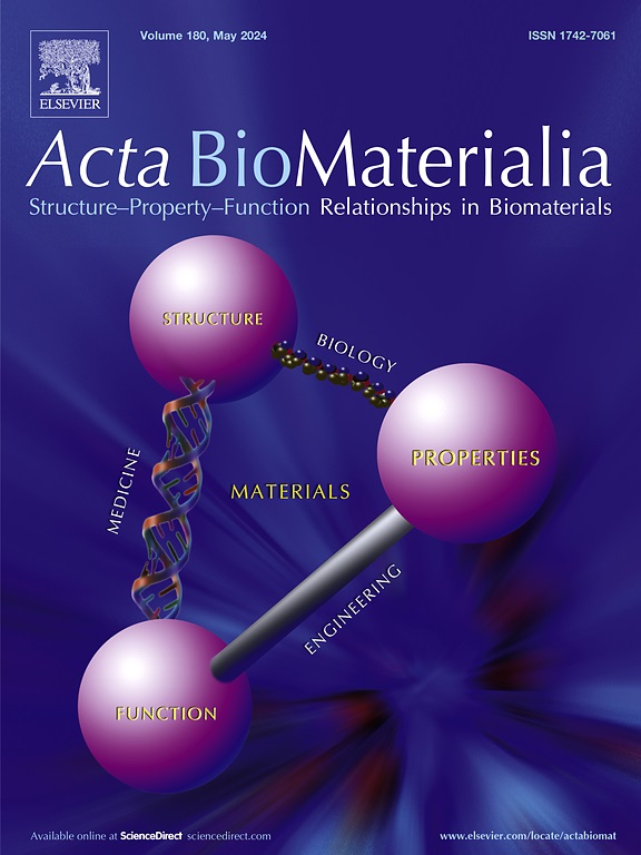 /tapasrevistas/acta_biomaterialia.jpg