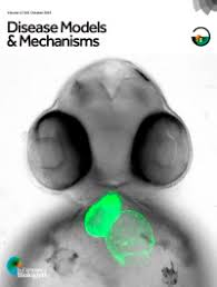 /tapasrevistas/disease_models_mechanisms.jpg