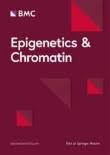 /tapasrevistas/epigenetics_chromatin.jpg