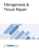 /tapasrevistas/fibrog_tissue_repair.jpg