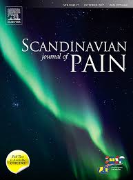 /tapasrevistas/scandinavian_j_pain.jpg