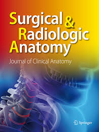 /tapasrevistas/surgical_radiologic_anatomy.jpg